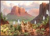 Desert