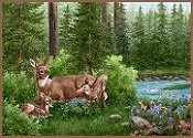 Woodland